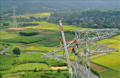 Thi công Dự án đường dây 500kV mạch 3 trên quê hương Bác Hồ (Nam Đàn – Nghệ An)