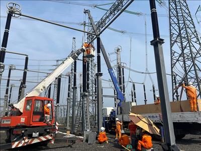Truyền tải điện Đắk Nông tập trung toàn lực, đảm bảo truyền tải điện an toàn năm 2024