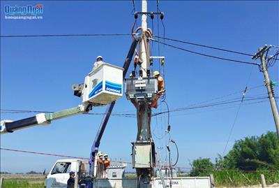 PC Quảng Ngãi: Đảm bảo cấp điện ổn định trong dịp Tết