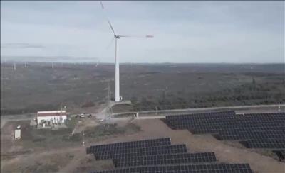 Bồ Đào Nha triển khai trang trại năng lượng sạch tích hợp