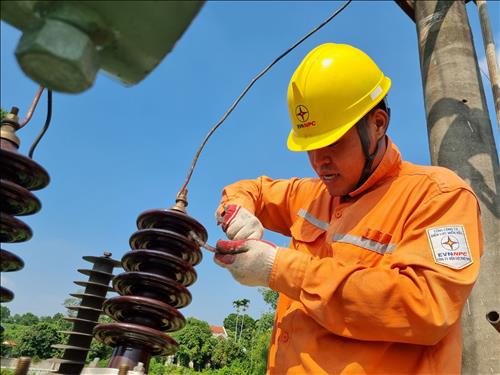 Điện lực Tam Nông (Phú Thọ) cấp điện an toàn, liên tục và ổn định dịp tết Nguyên đán 2023