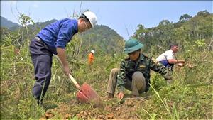 Tuổi trẻ PC Quảng Nam hỗ trợ người dân xã Tr'Hy trồng cây gây rừng