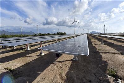 4 Ngân hàng Nhật Bản tài trợ 300 triệu USD cho năng lượng tái tạo Việt Nam