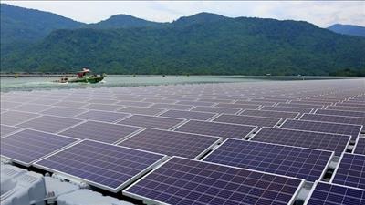 Việt Nam chiếm gần 1/3 lượng pin mặt trời nhập vào Mỹ