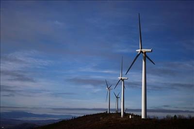 IEA: Công suất năng lượng tái tạo toàn cầu sẽ tăng lên 4.500GW vào năm 2024