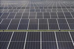 Australia có thể trở thành “siêu cường” về năng lượng tái tạo