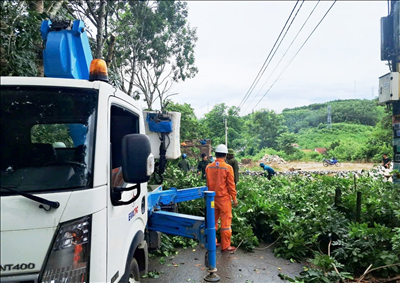 Điện lực Nam Giang (Quảng Nam) cải tạo lưới điện trước mùa mưa bão