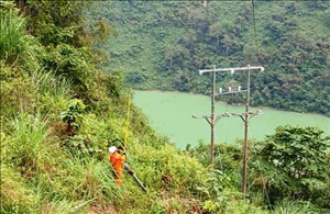 PC Hà Giang: Chủ động đảm bảo an toàn hành lang lưới điện