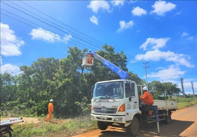 PC Đắk Nông: Cải thiện và nâng cao độ tin cậy cung cấp điện phục vụ phát triển kinh tế