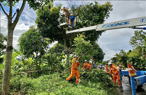 PC Lai Châu: Tăng cường các giải pháp đảm bảo an toàn hành lang lưới điện