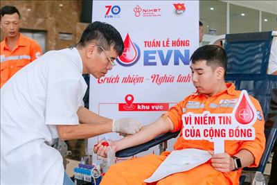 Công ty Điện lực Thừa Thiên Huế hưởng ứng Tuần lễ hồng EVN 2024