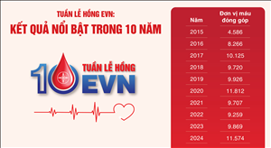 Tuần lễ hồng EVN: Kết quả nổi bật trong 10 năm