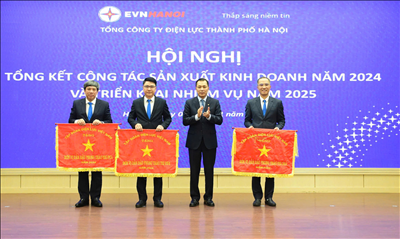 EVNHANOI: Nearly 6.5 million service requests received and addressed as committe