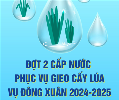 [Infographic] Đợt 2 cấp nước phục vụ gieo cấy lúa vụ Đông Xuân diễn ra thời gian nào?