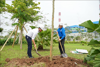 Sẽ trồng mới hơn 2.000 cây xanh tại Công ty Nhiệt điện Thái Bình