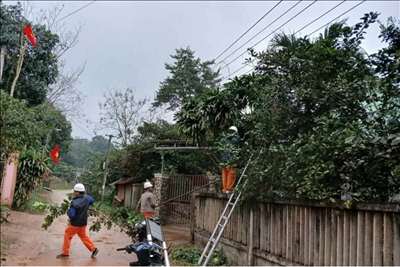 EVNCPC: Tăng quản lý hành lang tuyến để đảm bảo an toàn trong vận hành