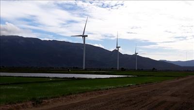 Ninh Thuận aspires to be VN’s heart of green energy