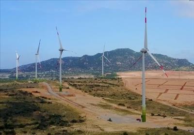 Vietnam wind power sector to see growing opportunities: Fitch Solutions