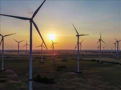 India halfway through its 175 GW renewable energy goal: Javadekar