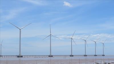 Soc Trang attractive to wind power developers