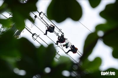 Powering 220 kV Southern Sai Gon - Urban District 8 transmission line