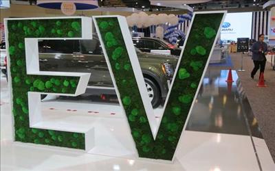 Build favourable ecosystem for electric vehicles, say experts