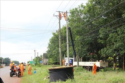 Six more solar power projects licensed in Binh Phuoc