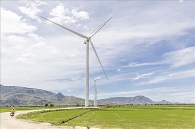 Wind power price rise a positive sign for VN’s renewable energy development