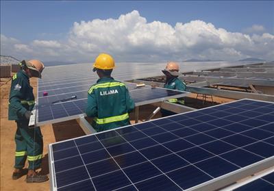 Ninh Thuan speeds up renewable energy projects