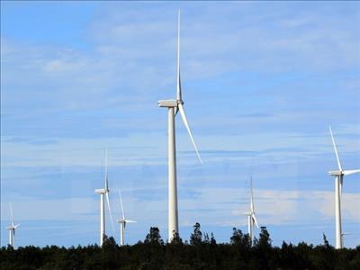 Foreign investors interested in wind power development in Vietnam