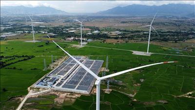 Gov’t exerts efforts to secure sustainable future via green transition