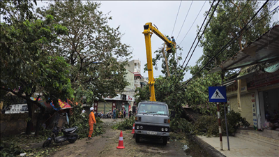 Thông tin cập nhật lúc 9h ngày 11/9/2024 về ảnh hưởng của cơn bão số 3 (YAGI) đến vận hành và cung cấp điện