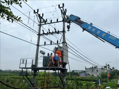 Điện lực An Dương (PC Hải Phòng) đảm bảo cung cấp điện đổ ải vụ Đông Xuân 2024
