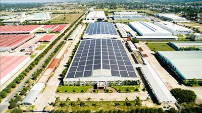 SP Group partners BCG Energy to grow renewable energy portfolio in Việt Nam