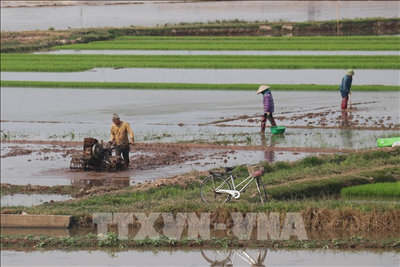 Giải pháp bảo đảm an ninh nguồn nước trước mỗi vụ Đông Xuân