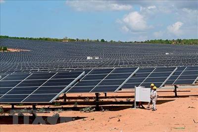 Solar power glut overloads power transmission lines in Ninh Thuận, Bình Thuận