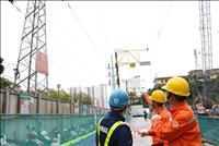 EVN ensures safe, stable power supply during Tết holidays
