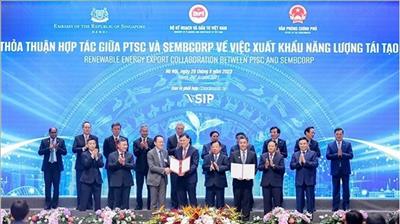 Vietnamese, Singaporean firms licensed to take first steps of offshore wind power project