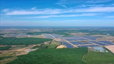 350 MW Solar Plant Comes Online in Vietnam