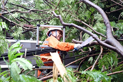 Efforts underway to restore power supply to Typhoon Yagi impacted regions