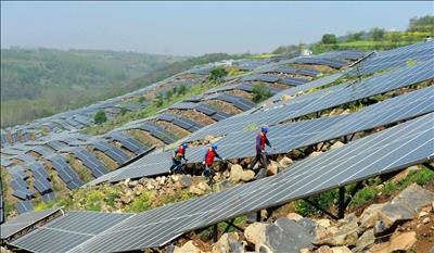 Asia renewables build to swell over 50% in five years as solar overtakes wind: Rystad