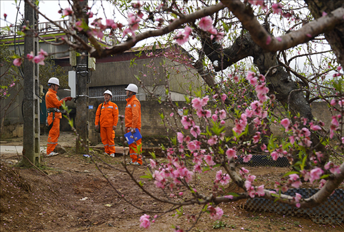 Electricity consumption drops to record low during Tet, some days down 50%