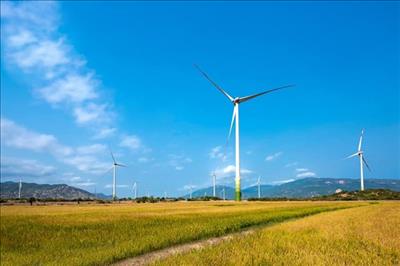 Wind power plant set to operate in Ninh Thuận