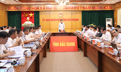 Phối hợp chặt chẽ, tháo gỡ vướng mắc các dự án lưới điện trọng điểm trên địa bàn Bắc Giang