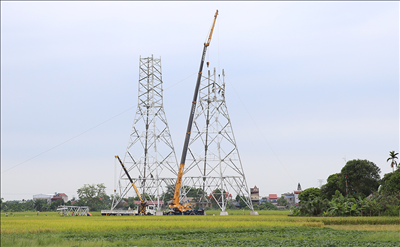 Công đoàn Điện lực Việt Nam quan tâm, động viên các đơn vị tham gia thi công Dự án đường dây 500kV mạch 3
