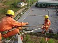 KHP invests over 206 billion VND in power grid in Khanh Hoa