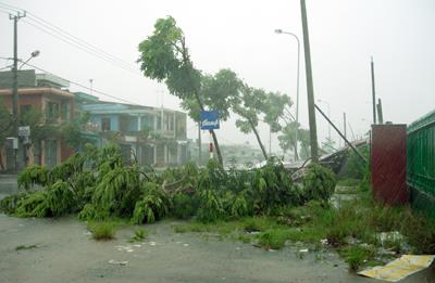 Northern power supply hit by Katsana typhoon