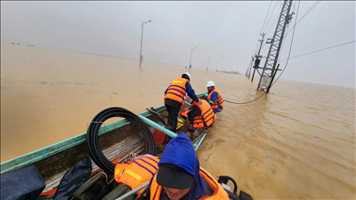 Thông tin báo chí Tình hình hoạt động tháng 10 năm 2024; mục tiêu, nhiệm vụ công tác tháng 11 năm 2024 của EVN