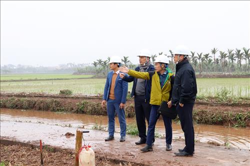 Cần tăng tốc xây dựng đường dây 500kV Nhà máy nhiệt điện Nam Định 1 - Phố Nối