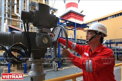 PetroVietnam proposes adding power plants to national grid